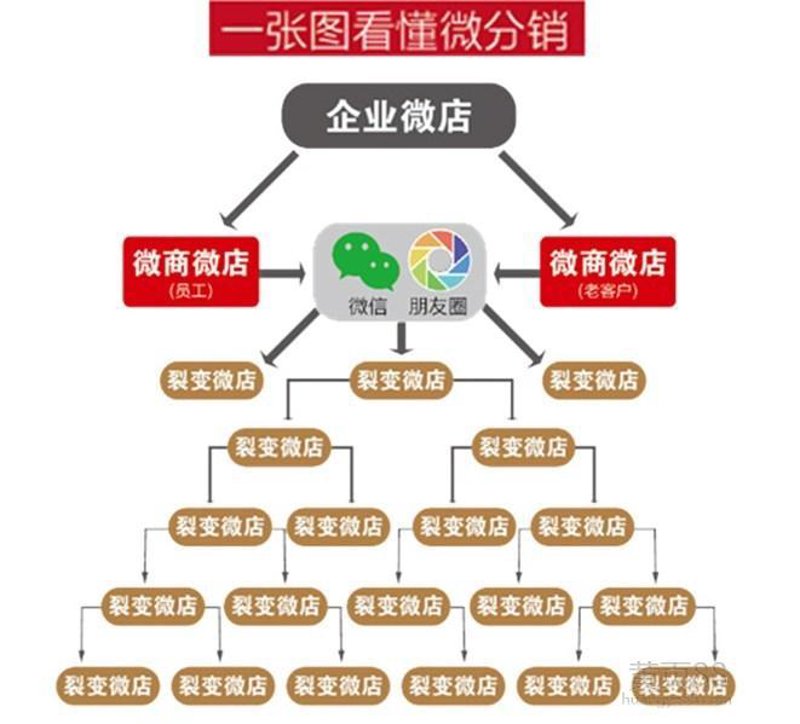 企业官网定制：构建您独特的数字门户